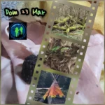 castelliromani-noitrek